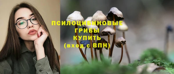 PSILOCYBIN Беломорск