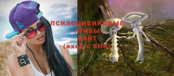 PSILOCYBIN Беломорск