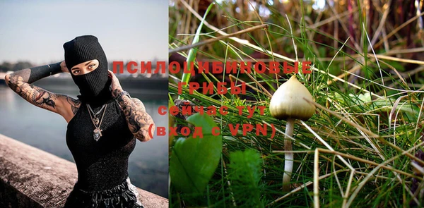 PSILOCYBIN Беломорск