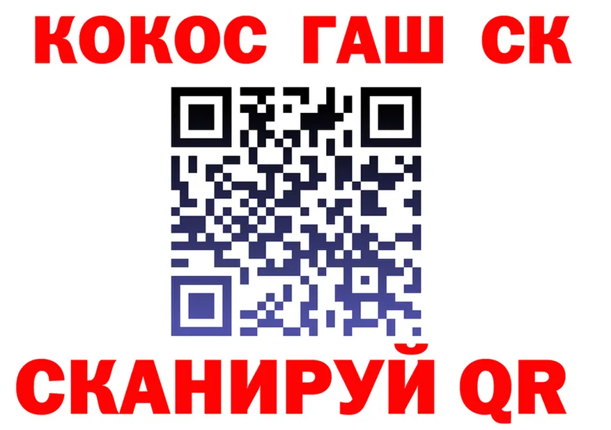 МЯУ-МЯУ 4 MMC вход площадка omg Курлово