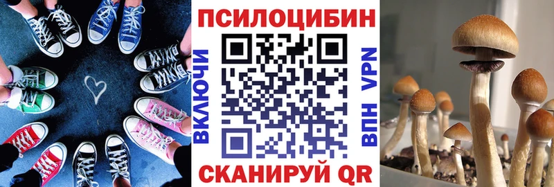 Галлюциногенные грибы Psilocybine cubensis  Курлово 
