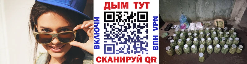 darknet Telegram  кракен онион  Курлово  Бошки марихуана гибрид 